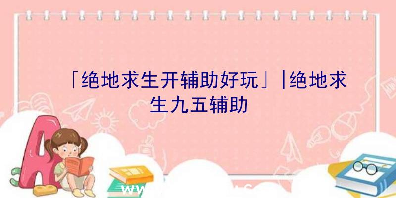 「绝地求生开辅助好玩」|绝地求生九五辅助